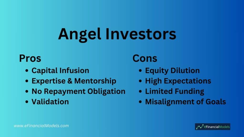 Pros and Cons of Angel Investors Overview | eFinancialModels 3 - Angel Investors