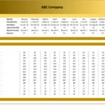 OpEx Cash Flow Budget for ABC Company | eFinancialModels Detailed cash flow budget showing monthly OpEx for ABC Company in EUR.