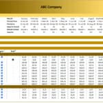 Monthly Cash Flow Budget Template for OpEx | eFinancialModels Cash flow budget chart detailing monthly operating expenses by category for 2024.