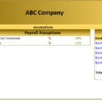 Cashflow Budget Assumptions Overview | eFinancialModels Cashflow budget template showing payroll and bank account details.