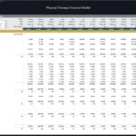 Physical Therapy Clinic Monthly Budget Overview | eFinancialModels Monthly budget model for a physical therapy clinic showing income and expenses.