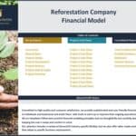 Financial model layout for reforestation projects including reports and cash flow sections.