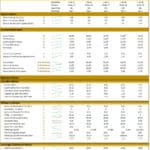 ABC Company's Financial Ratios Overview (2025-2029) | eFinancialModels Financial ratios table for ABC Company covering 2025-2029.