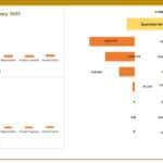 Variance analysis comparing actual vs budgeted revenue and expenses for January 2025