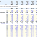 Monthly Financial Statements Overview for Agriculture | eFinancialModels Monthly financial statements showing income, costs, and expenses for agricultural operations.