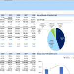 Golden Wings Executive Summary Financial Overview | eFinancialModels Financial overview including profit and loss, cash flow, and funding sources for Golden Wings.