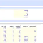 Golden Wings Financial Model Overview | eFinancialModels Financial model image detailing Golden Wings project with capital expenditure breakdown.