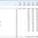 CAPEX Overview Table for 2024 | eFinancialModels CAPEX table showing initial balances and monthly expenditures for asset types in 2024.