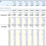 Monthly Income Statement for Financial Analysis | eFinancialModels Income statement displaying monthly revenue and expense projections for strategic financial analysis.