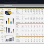 Financial model summary showing cash flows, revenue, and IRR for a water treatment plant.