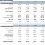 Graphical representation of summary financial statements showing revenue, expenses, and profit margins over five years.
