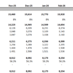 Monthly income statement projections detailing revenue and costs by product.