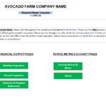 A screenshot of the avocado farm financial model template, featuring highlighted input cells and sections for financial projections and metrics.