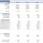 Table displaying various hotel financial metrics and ratios including profitability and liquidity over five years.