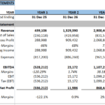 Five-year income statement showing revenue, profit margins, and expenses.