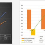 Graphs depicting total and active users alongside gross, EBITDA, and net profitability margins over five years.