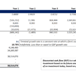 Discounted cash flow model showing financial metrics for valuation analysis