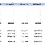 Equity schedule displaying owners equity, retained earnings, and net profit/loss for the months of 2025.