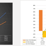 User Growth and Profitability Analysis | eFinancialModels Graph showing total users vs active users and profitability margins over five years