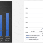 Chart showing revenue vs expenses and profitability margins through year 10