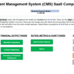 CMS SaaS Financial Model Overview | eFinancialModels CMS SaaS financial model structure showcasing input assumptions and financial output projections.