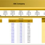 Financial model showcasing revenue, cost, and profitability data for ABC Company's products.