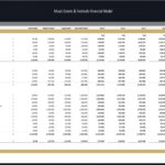 Comprehensive financial model for music festivals showing revenues and expenses.