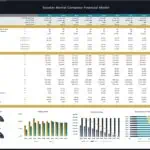 Financial performance metrics and charts for scooter rental company