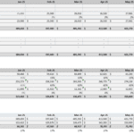 Financial model overview illustrating poultry farm revenue and direct costs