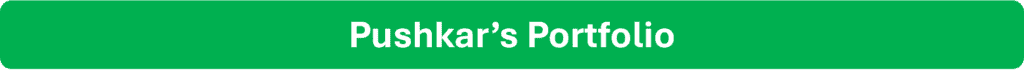 Pushkar's Financial Portfolio Overview | eFinancialModels Pushkar's portfolio section banner for financial modeling services.