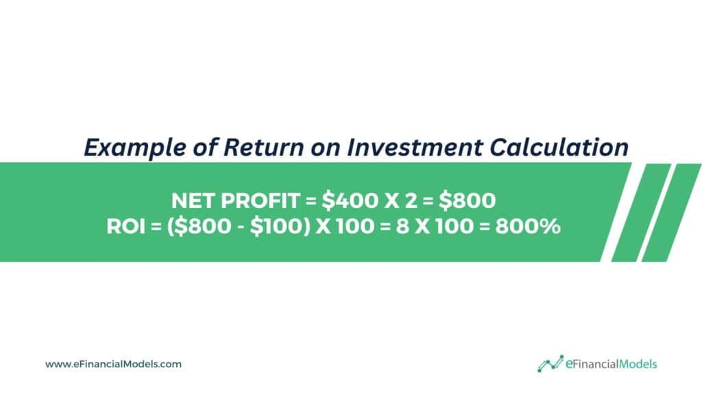 ROI Calculation Example with Profit Breakdown | eFinancialModels 4 - Example of Return on Investment Calculation