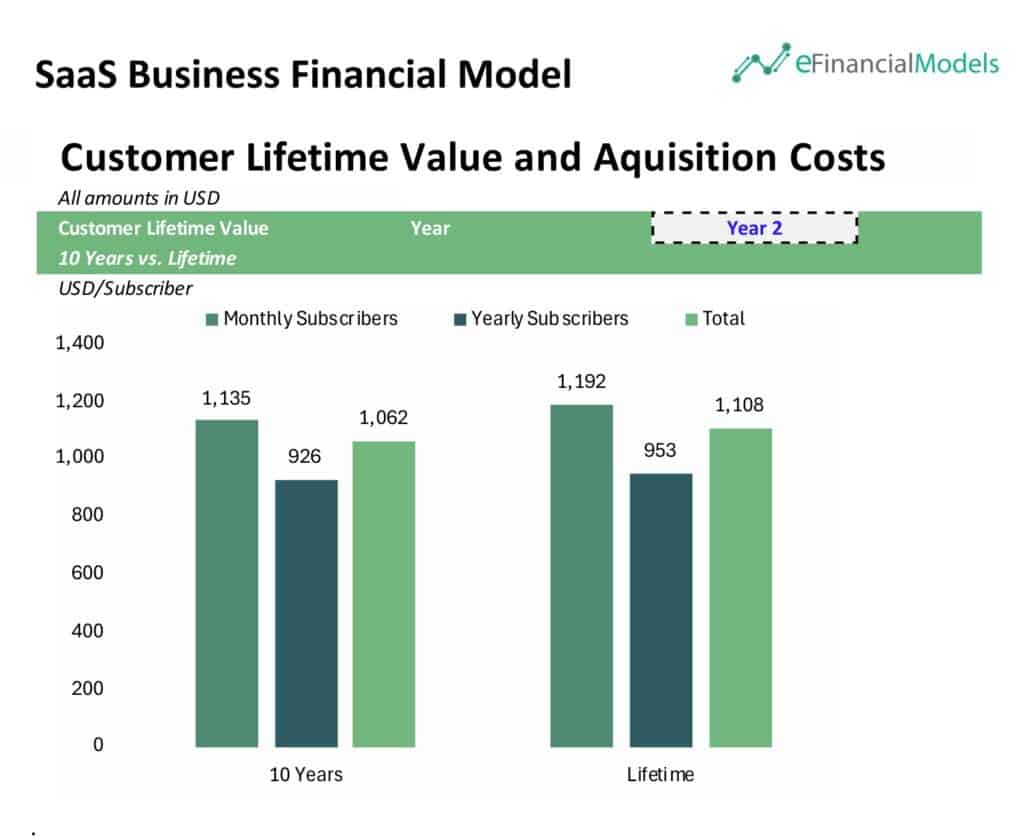 Customer Lifetime Value Analysis for SaaS Business | eFinancialModels 4 - CLV of a SaaS Business Financial Model