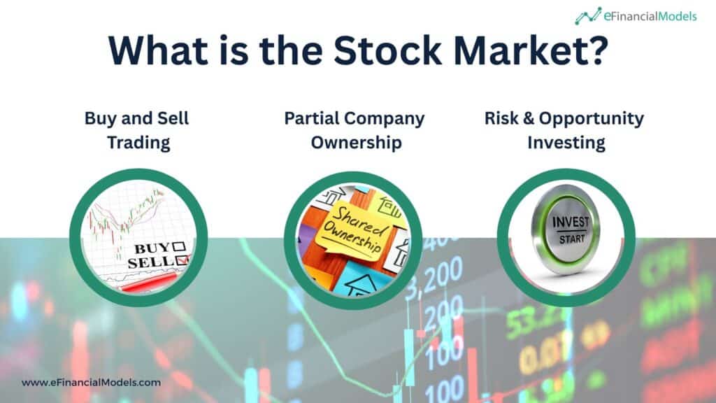 Key Concepts of the Stock Market Explained | eFinancialModels 2 - What is the Stock Market