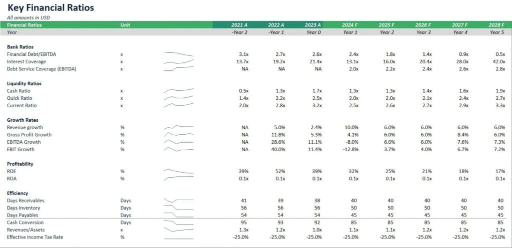 Key Financial Ratios Overview (2021-2028) | eFinancialModels Financial ratios table showing metrics for bank, liquidity, growth, and profitability.