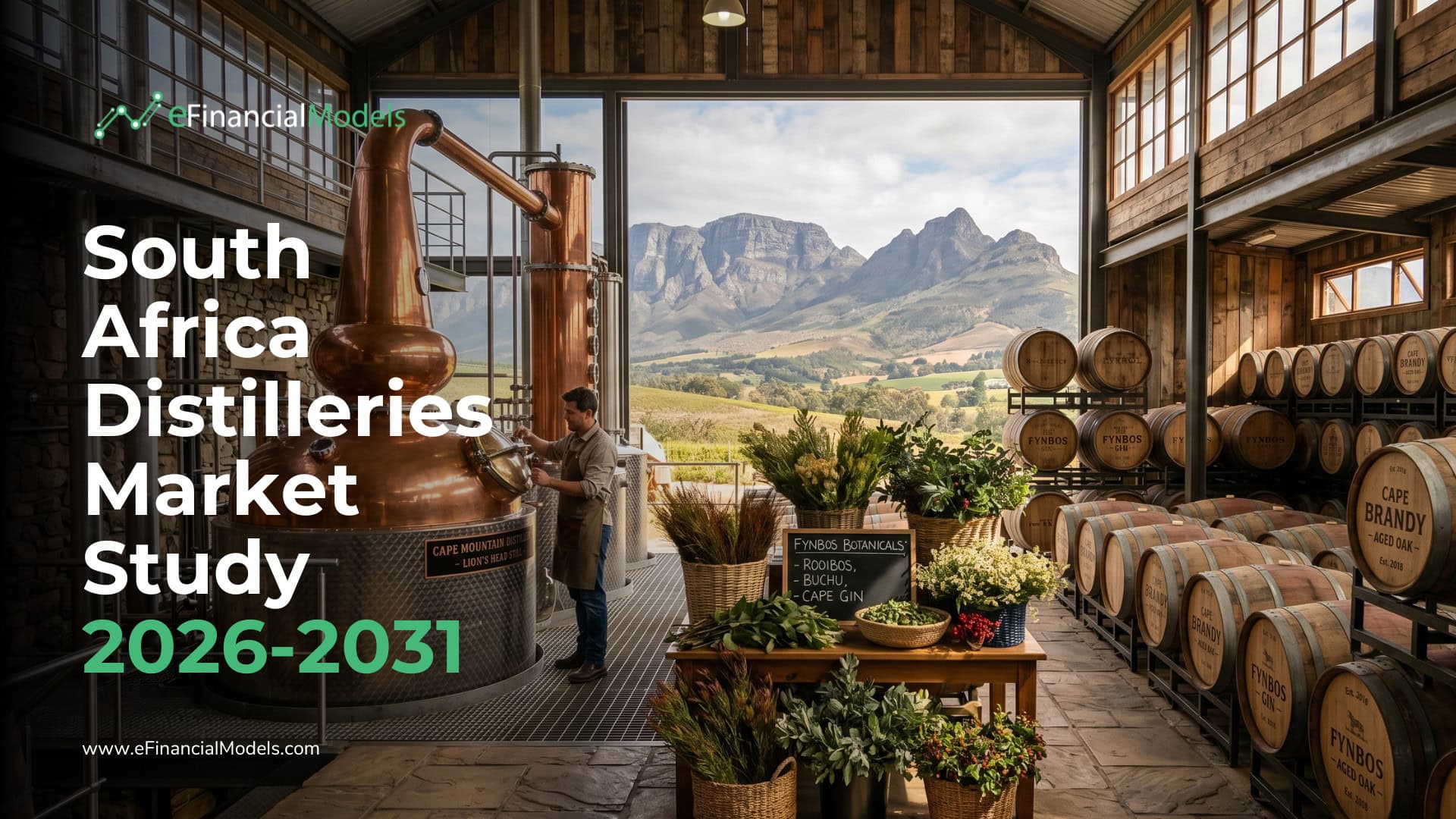 Infographic comparing South Africa | eFinancialModels Infographic comparing South Africa's three distillery sub-segments: brandy production volume, craft gin operator count, and craft whisky maturing stock