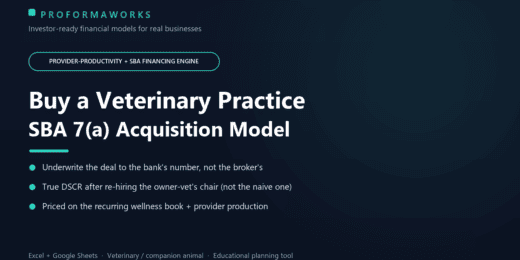Veterinary Practice Acquisition Financial Model