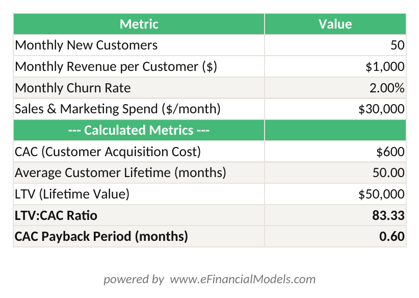 Excel worksheet showing SaaS unit economics calculation with CAC LTV LTVCAC ratio and CAC payback period for a seed-stage startup | eFinancialModels Excel worksheet showing SaaS unit economics calculation with CAC, LTV, LTV:CAC ratio, and CAC payback period for a seed-stage startup