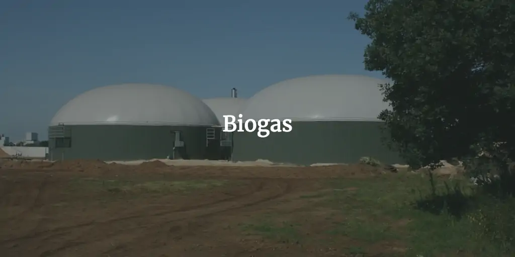 Biogas Financial Model