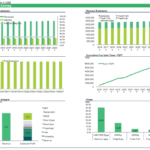 Financial overview with projections for revenues, cash flow, and profitability in fish farming.