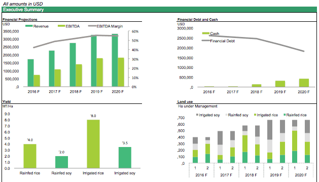 Financial Forecast for Rice Farming Operations