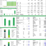Financial model summary for real estate development including projections and investment metrics.