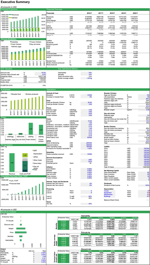 company valuation excel spreadsheet