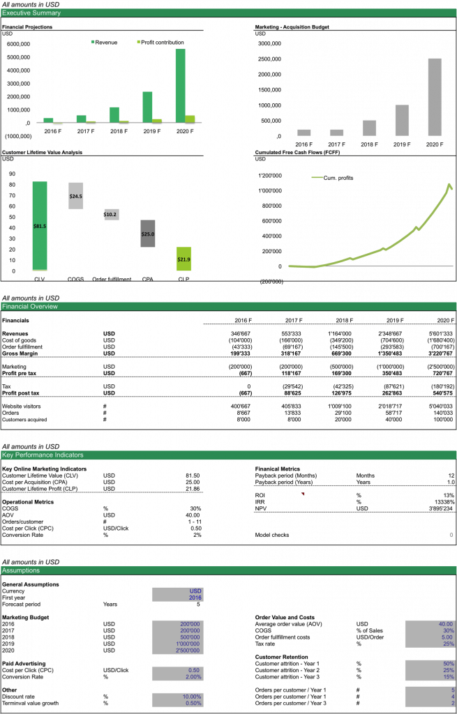 ROI Paid Online Marketing Campaign