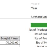 Apple orchard financial model showing selling assumptions and production metrics.