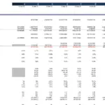 Financial dashboard displaying financial metrics including debt, balance sheet valuation, growth rates, profitability, liquidity, and efficiency for healthcare project.