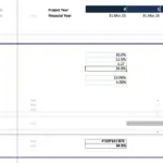 Valuation model showing financial metrics for Project Healthcare