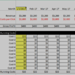 1-Year financial model showing monthly revenue, costs, and profit margins.