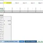 Consolidated P&L template displaying revenue, costs, and product details for January 2017.