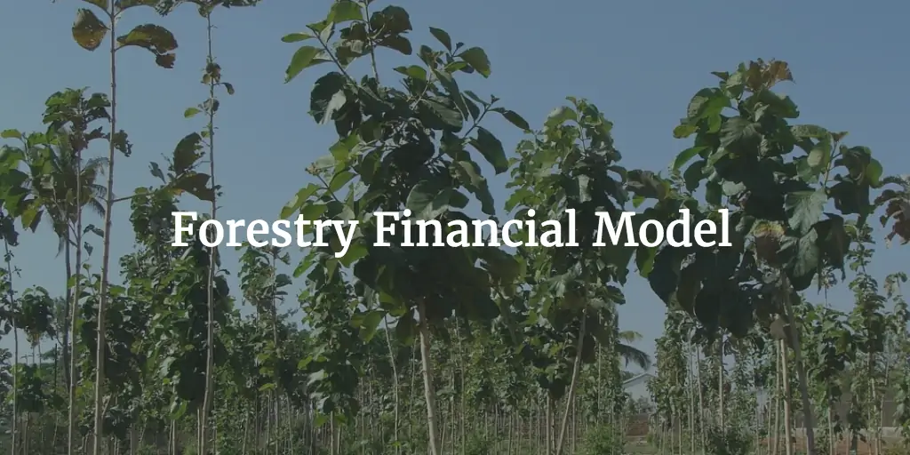 Forestry Financial Model