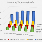 Bar chart displaying revenue, COGS, fixed costs, and EBITDA for FYs 2018-2022.